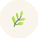 icon1.png
